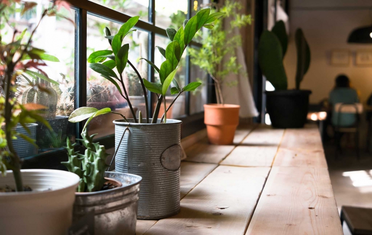 複層玻璃與膠合玻璃的節能及隔音功效比較