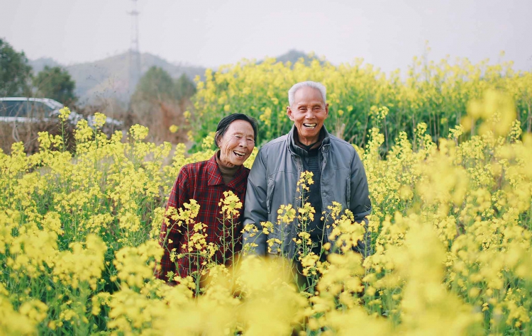 迎向超高齡社會的食衣住行育樂