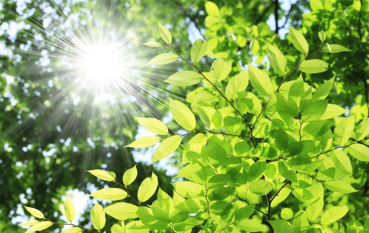 炎炎夏日造成室內溫度升高的原因