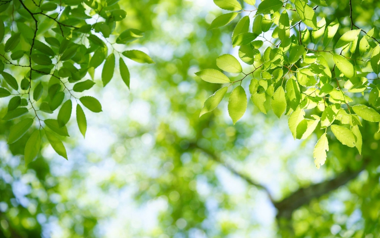 SDGs永續發展，全天候支持綠能生活