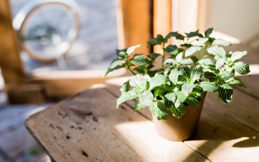 CROSS WEATHER 跨越天氣