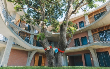 百年芒果樹辦公建築基地