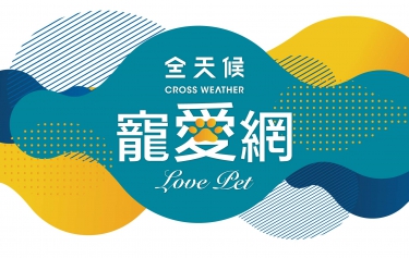 全天候寵愛網