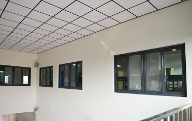 台南市新營區-採光佳