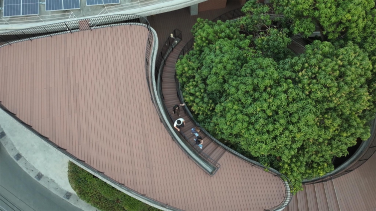 俯瞰芒果樹建築基地