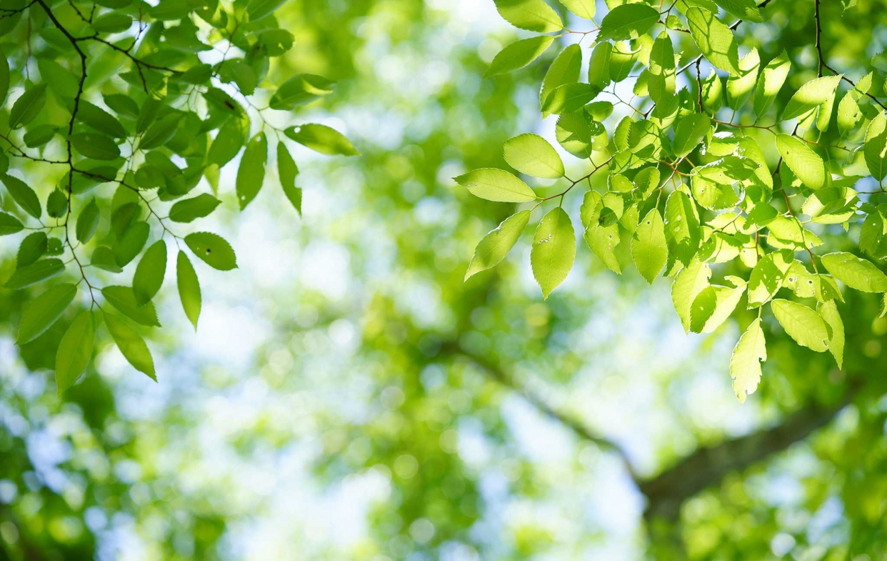 善用玻璃隔熱特性使窗戶達到隔熱節能效果，家裡也能有會呼吸的窗。