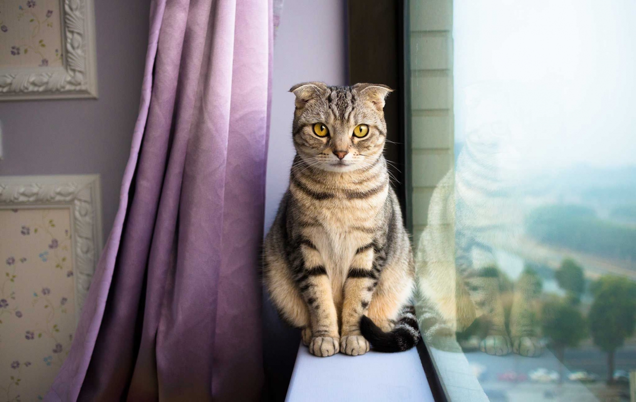 透過高性能透水綠建材產生逕流透水性，產生基地保水功能。