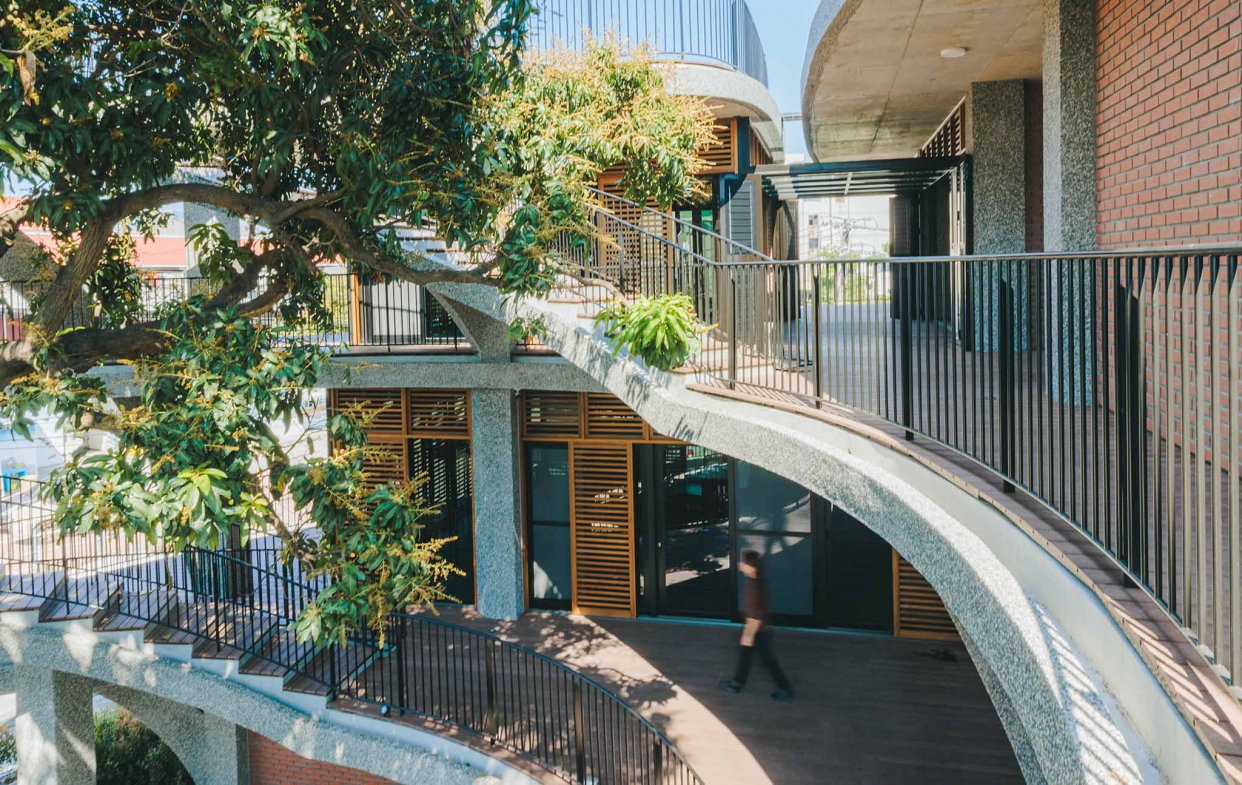 百年芒果樹辦公基地一隅