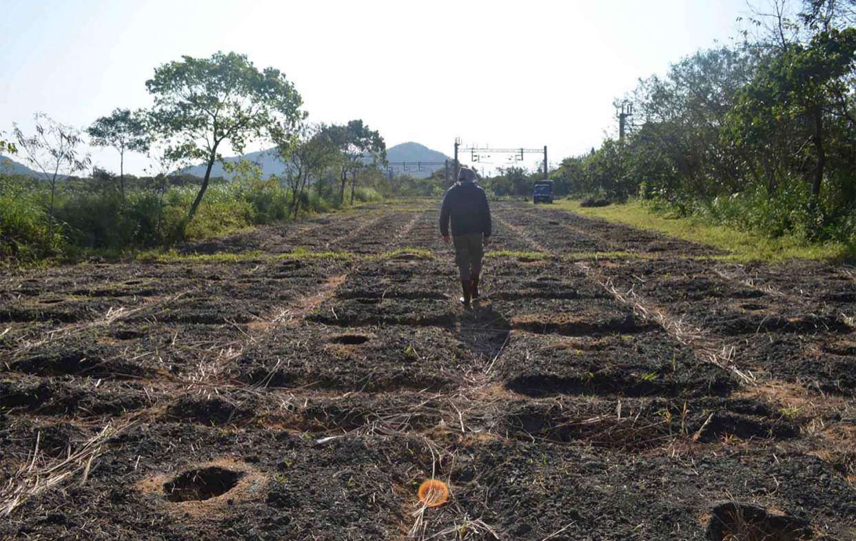 大自然智慧之樸門永續設計