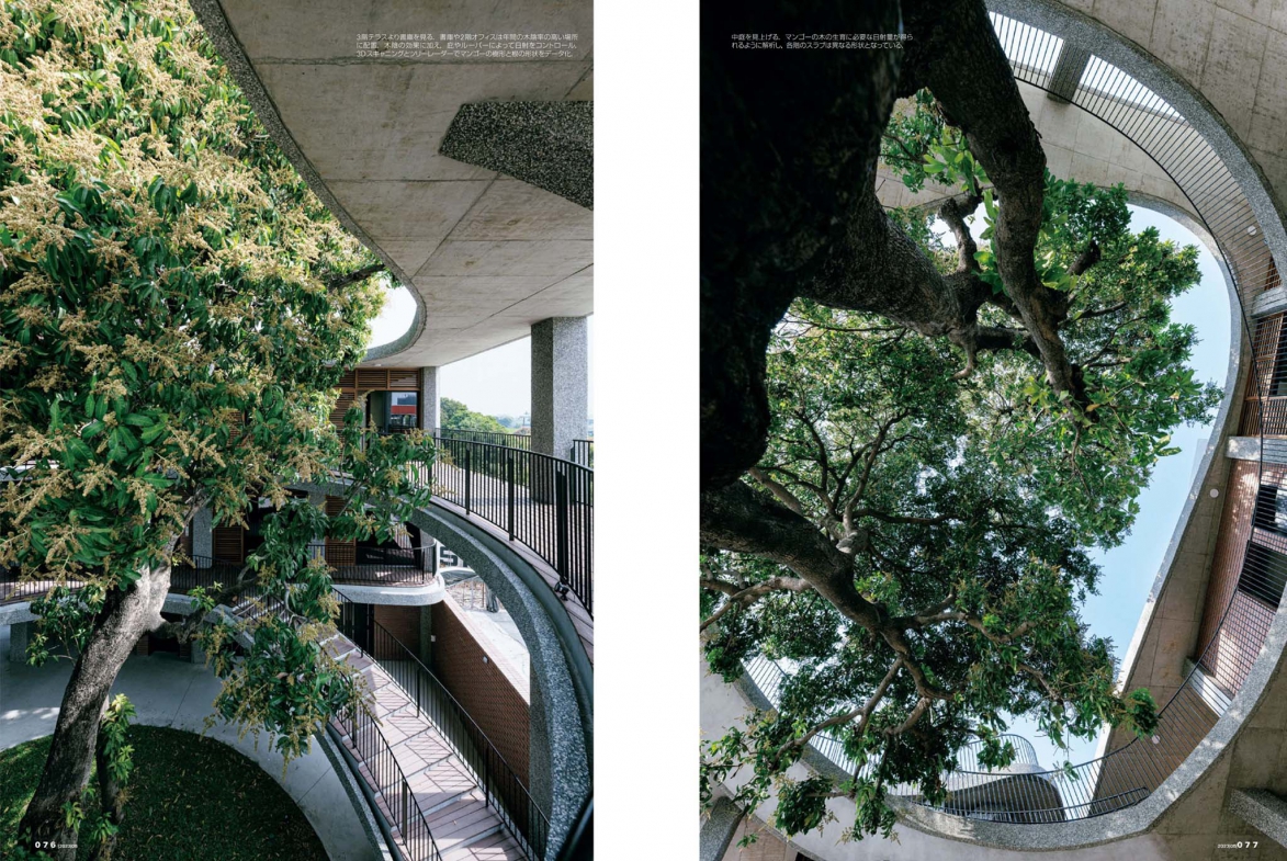 新建築雜誌 芒果樹辦公建築 不同視角