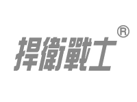 捍衛戰士