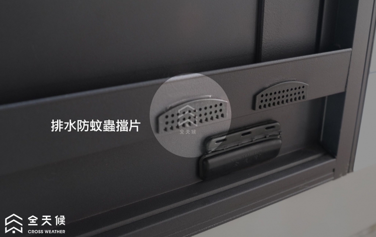 排水防蚊蟲擋片