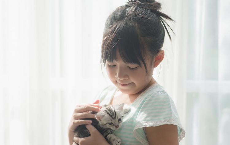 防盜氣密窗守護全家平安