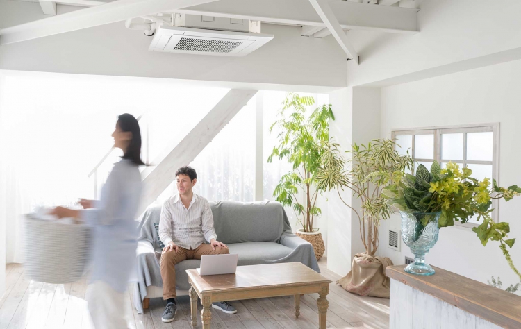 室內通風設計重點#3:用綠色植物美觀清新